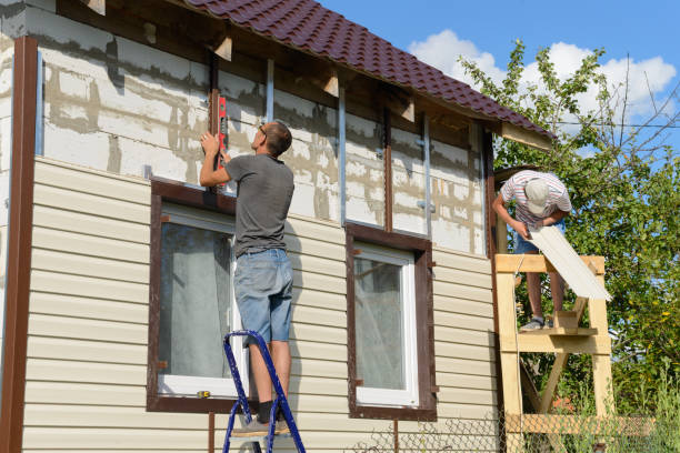 Best Custom Siding Design  in Vernon Hls, IL