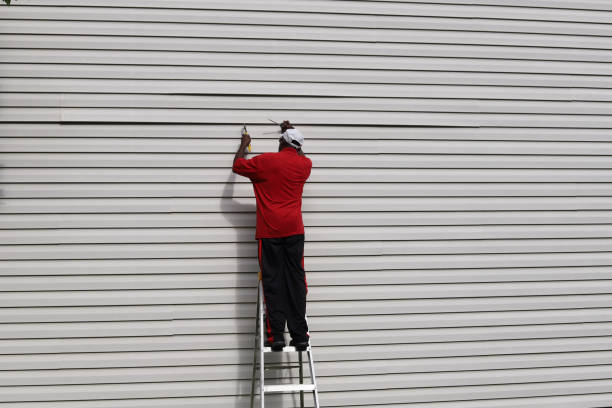 Best Engineered Wood Siding  in Vernon Hls, IL