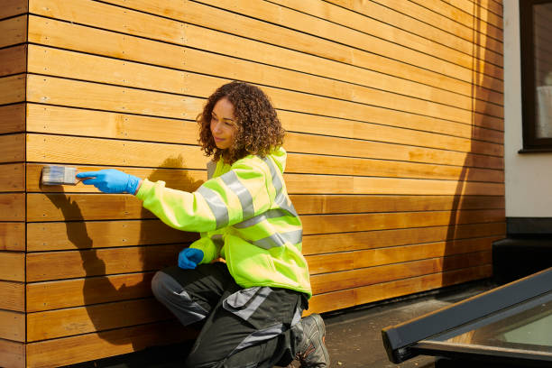 Affordable Siding Repair and Maintenance Services in Vernon Hills, IL